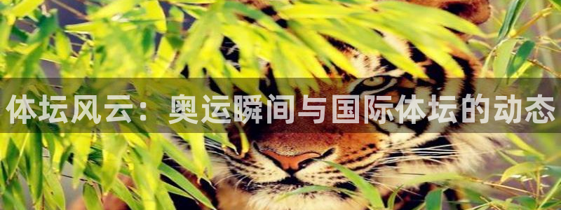 米兰体育官方平台体育：体坛风云：奥运瞬间与国际体坛的