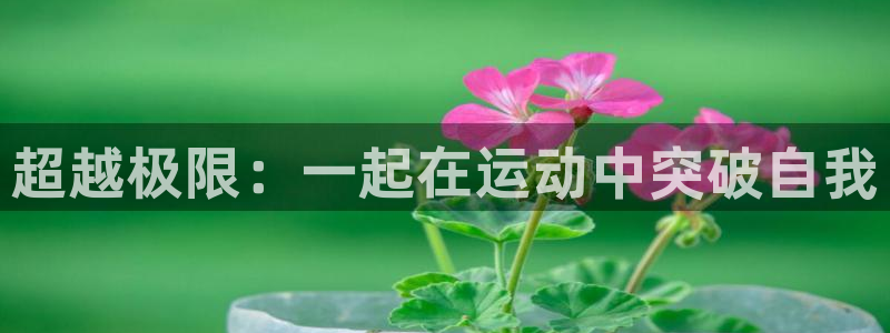 米兰体育官网下载招商电话号码是多少啊：超越极限：一起