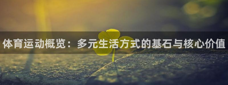米兰体育官方正版app代理：体育运动概览：多元生活方