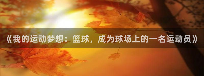 米兰体育官网下载平台注册要钱吗：《我的运动梦想：篮球
