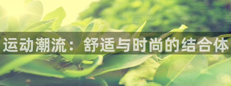 米兰体育官方正版app娱乐下载：运动潮流：舒适与时尚
