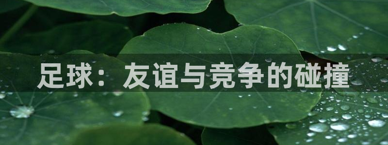 米兰体育官网下载平台注册要钱吗是真的吗：足球：友谊与