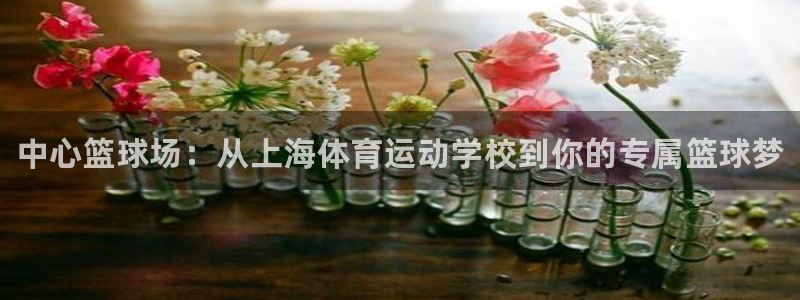 米兰体育官网下载招商电话号码是多少啊：中心篮球场：从