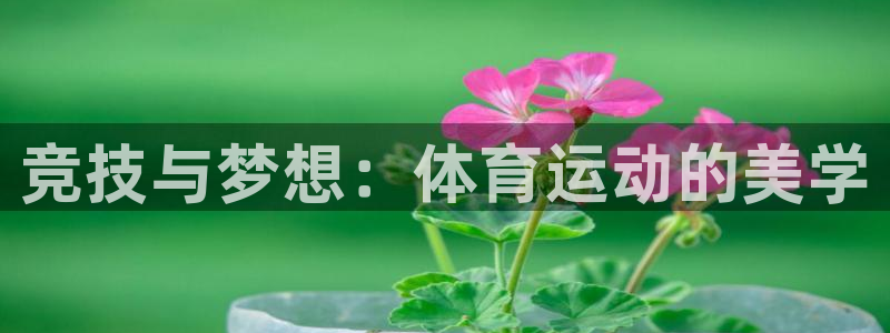 米兰体育官网下载平台假的吗是真的吗：竞技与梦想：体育
