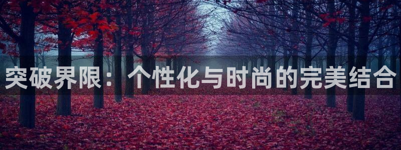 米兰体育官方正版app集团E.ON：突破界限：个性化