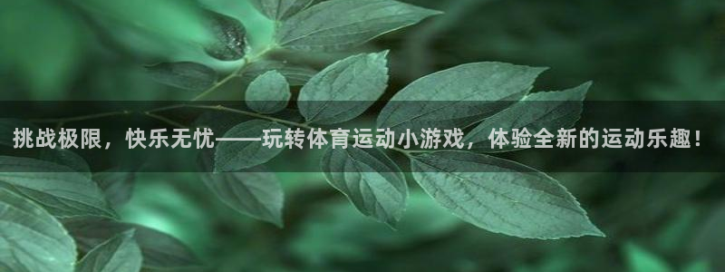 米兰体育官网下载招商：挑战极限，快乐无忧——玩转体育