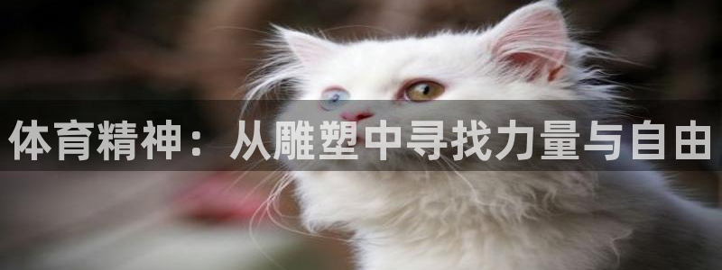 米兰体育官方正版app集团logo