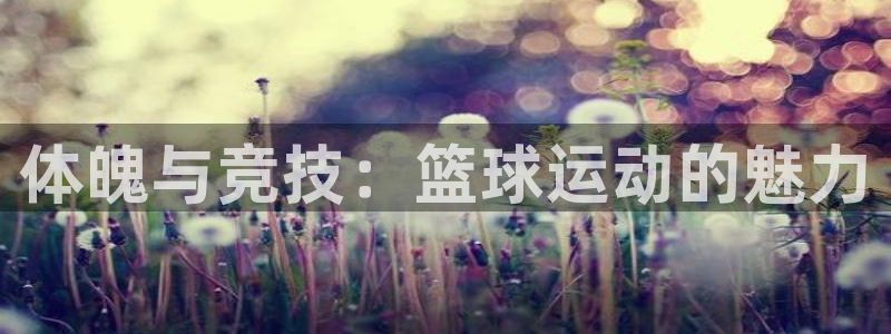 米兰体育官方正版app娱乐40996：体魄与竞技：篮球运动的