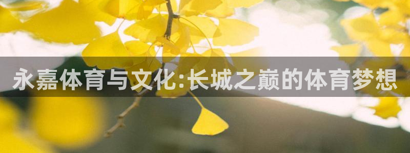 米兰体育官网下载招商电话是多少：永嘉体育与文化:长城之巅的体