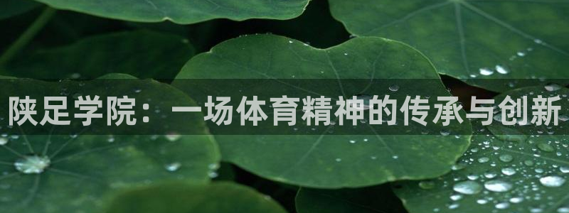 德国米兰体育官方正版app集团：陕足学院：一场体育精神的传承