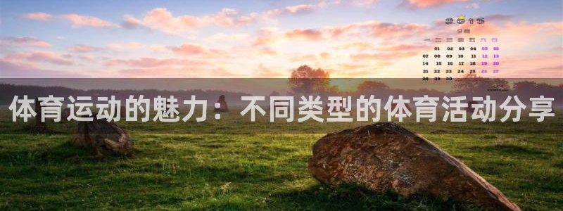 米兰体育官方正版app娱乐网站：体育运动的魅力：不同类型的体